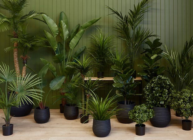Trees