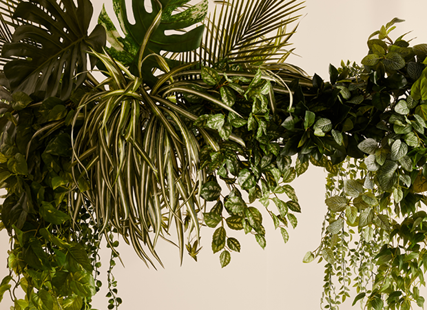 Loose Plants
