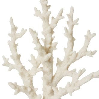 Coral Finger Sculpture - 18 x 12 x 27cm 