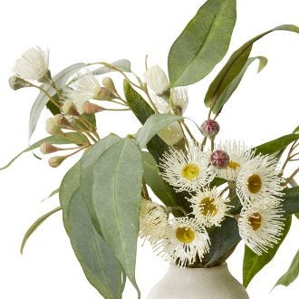 Flowering Eucalyptus - Damita Vase - 36 x 46 x 46 cm 